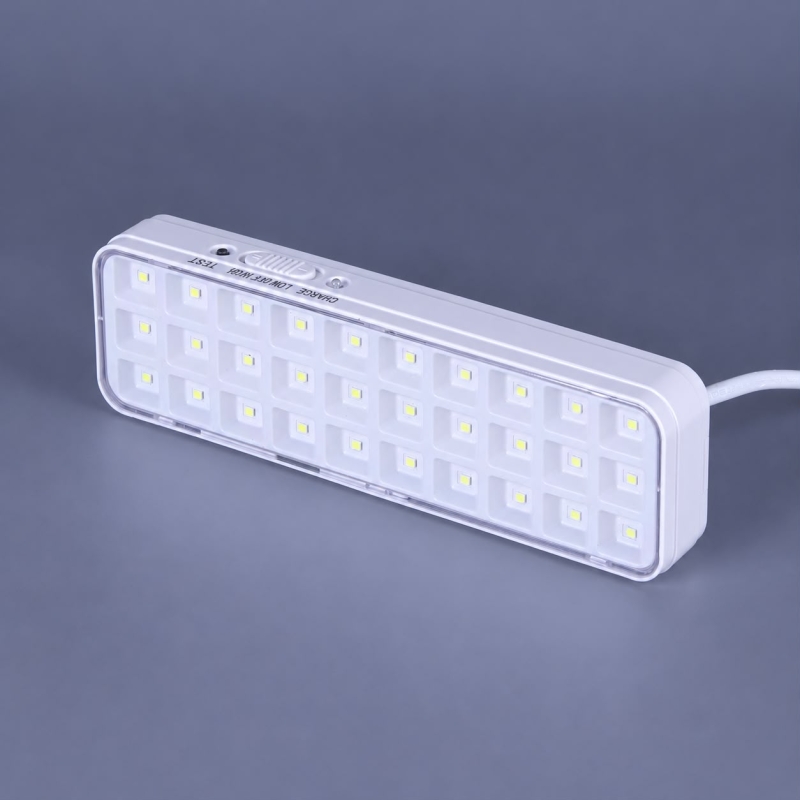 LED Emergency Light 30LED